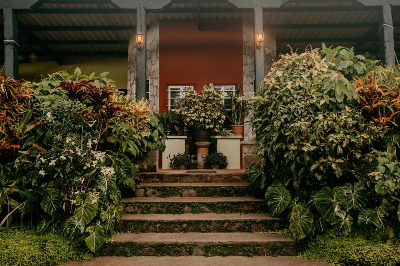 The Golden Frog Inn El Valle de Anton Bagian luar foto
