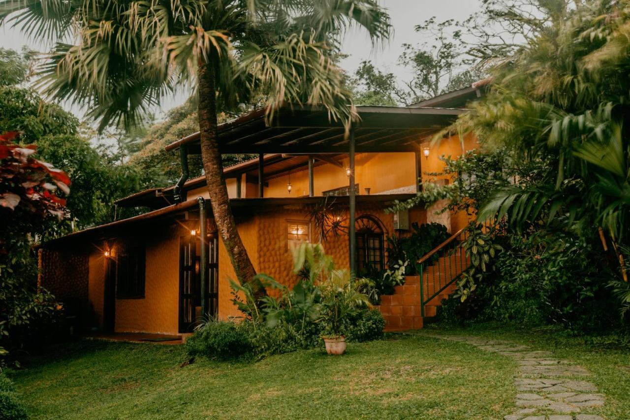 The Golden Frog Inn El Valle de Anton Bagian luar foto