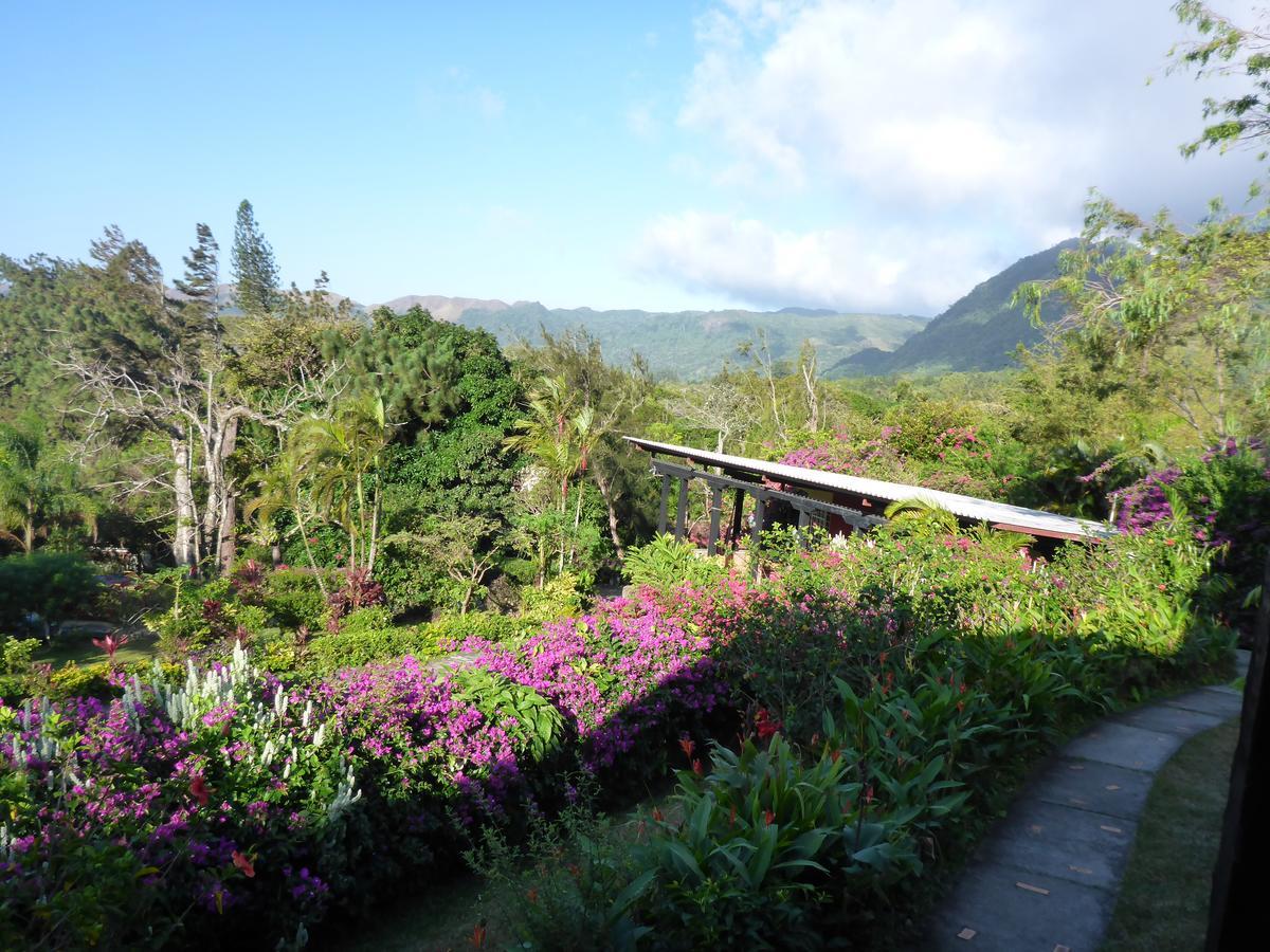 The Golden Frog Inn El Valle de Anton Bagian luar foto