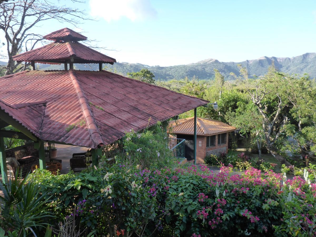 The Golden Frog Inn El Valle de Anton Bagian luar foto