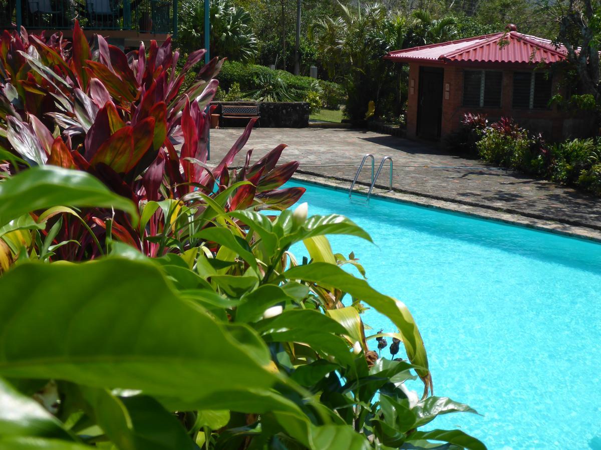 The Golden Frog Inn El Valle de Anton Bagian luar foto