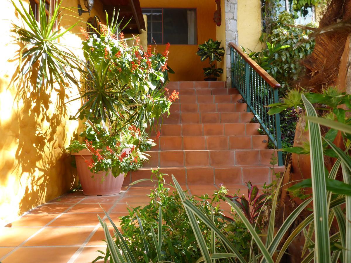 The Golden Frog Inn El Valle de Anton Bagian luar foto