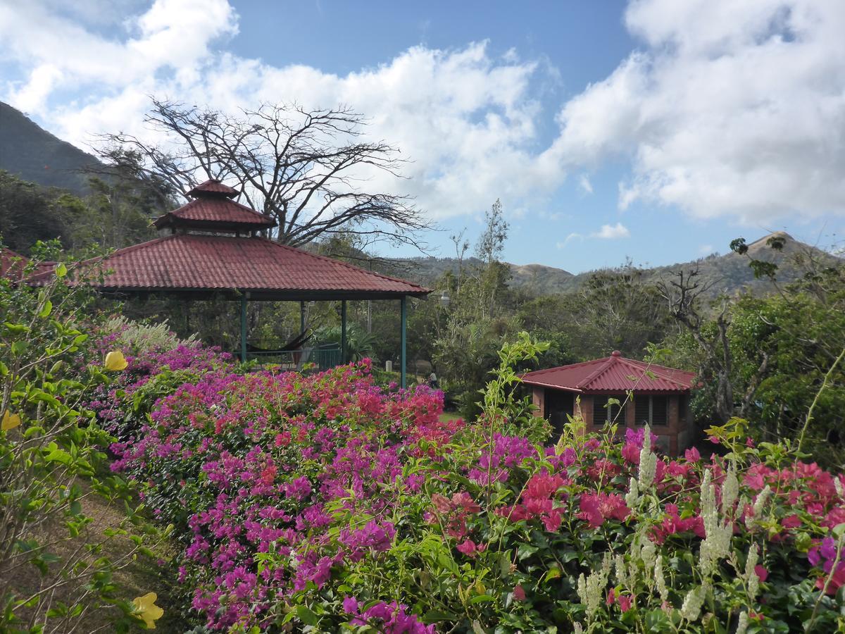 The Golden Frog Inn El Valle de Anton Bagian luar foto